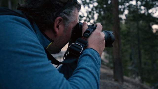 Amazon.com : Tamron 18-400mm F/3.5-6.3 DI-II VC HLD All-In-One